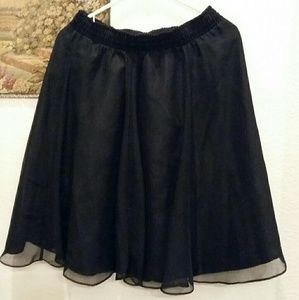 Sheer Black Lined Skirt
